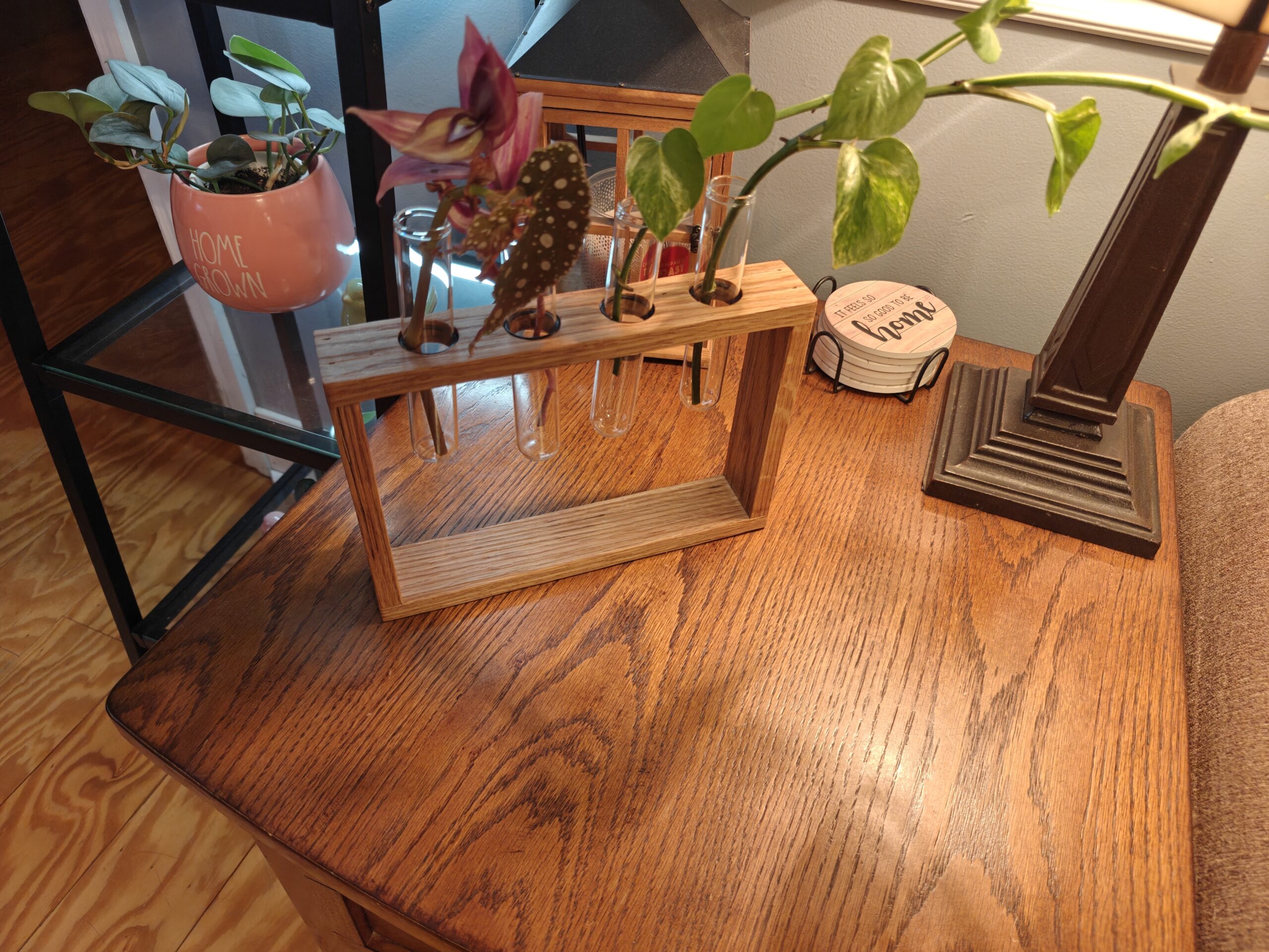 Test tube propagation station